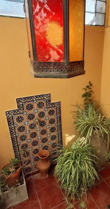 ¨Las Mayolicas¨ Hermoso Depto Con Patio Espanol Mendoza Exterior photo