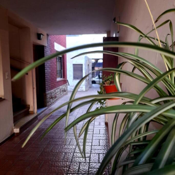 ¨Las Mayolicas¨ Hermoso Depto Con Patio Espanol Mendoza Exterior photo